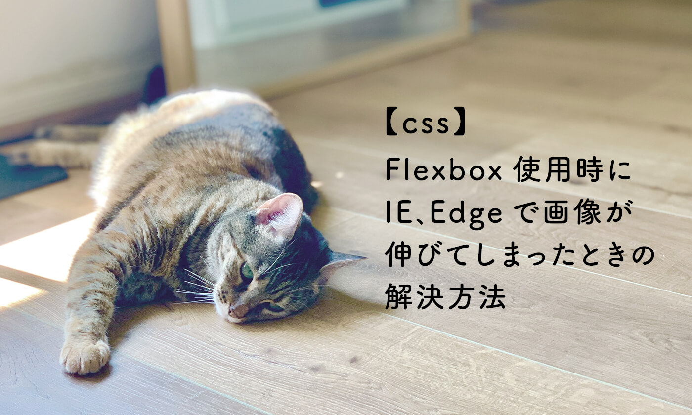 Flexbox使用時にIE､Edgeで画像が伸びてしまったときの解決方法